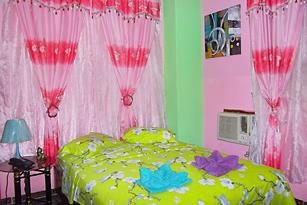 Apartment Esteban & Diamelys, apartment in central havana, guesthouses, bed and breakfast, accommodation