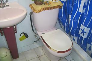 Apartment Julia | independent apartment | rent for room in havana | bed and breakfast | cuba | accommodation