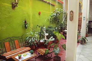 Casa D Robles | casa particular in center havana | ocean view | cuba | accommodation | centro habana