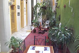 Casa D Robles | casa particular in center havana | ocean view | cuba | accommodation | centro habana