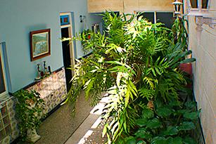 Casa Particular en Habana Vieja, Jesus y Maria, renta de habitaciones, hospedeje, habana vieja, alojamiento